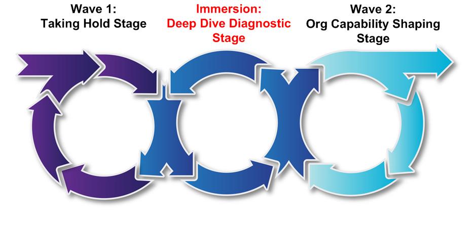 Learning Through Deep Dive Diagnostics in the Immersion Stage